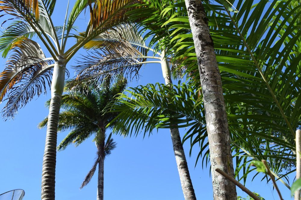Pousada Sossego Boipeba Velha Boipeba Exterior foto